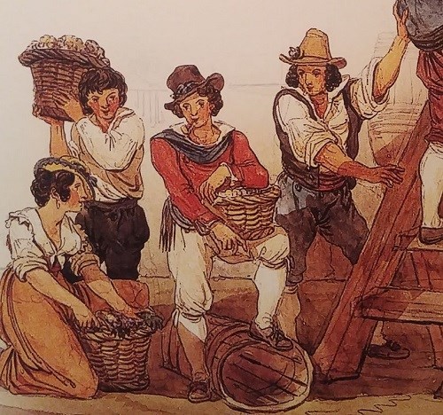 Vendimiadores esperando a descargar siglo XVII