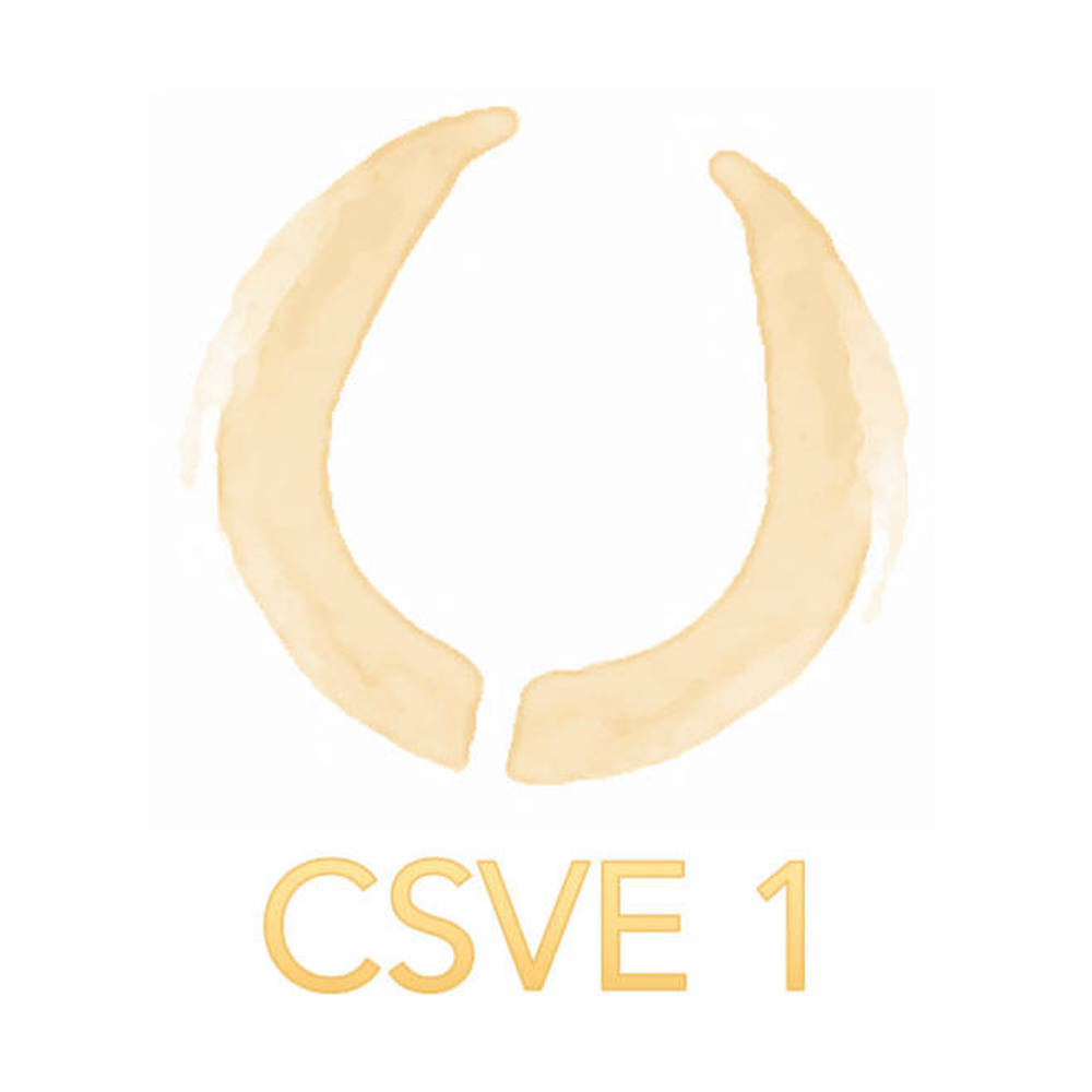 Csve Curso Sistemático del Vino Español 1 - Peñín digital