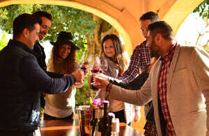 Brindis amigos en Bodegas E.Mendoza