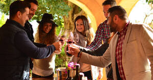 Brindis amigos en Bodegas E.Mendoza