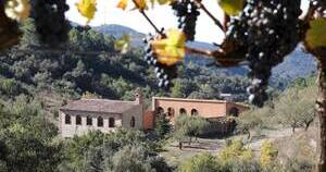 Celler Mas del Botó en la naturaleza