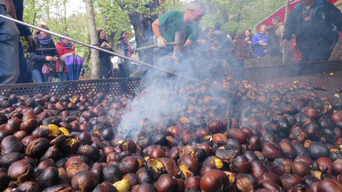 Magosto en Galicia