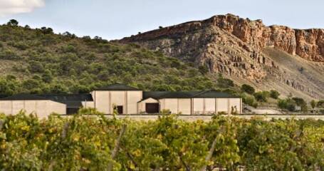 Vista panorámica de la bodega y entorno Bodegas Juan Gil