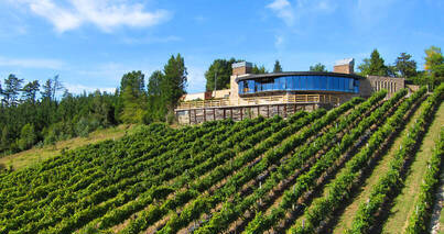 Viñedos y bodega de Berroja Txakoli