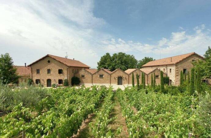 Imagen bodega y viñedos de Bodegas Cosme Palacio