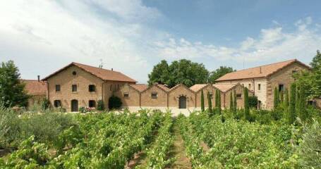 Imagen bodega y viñedos de Bodegas Cosme Palacio