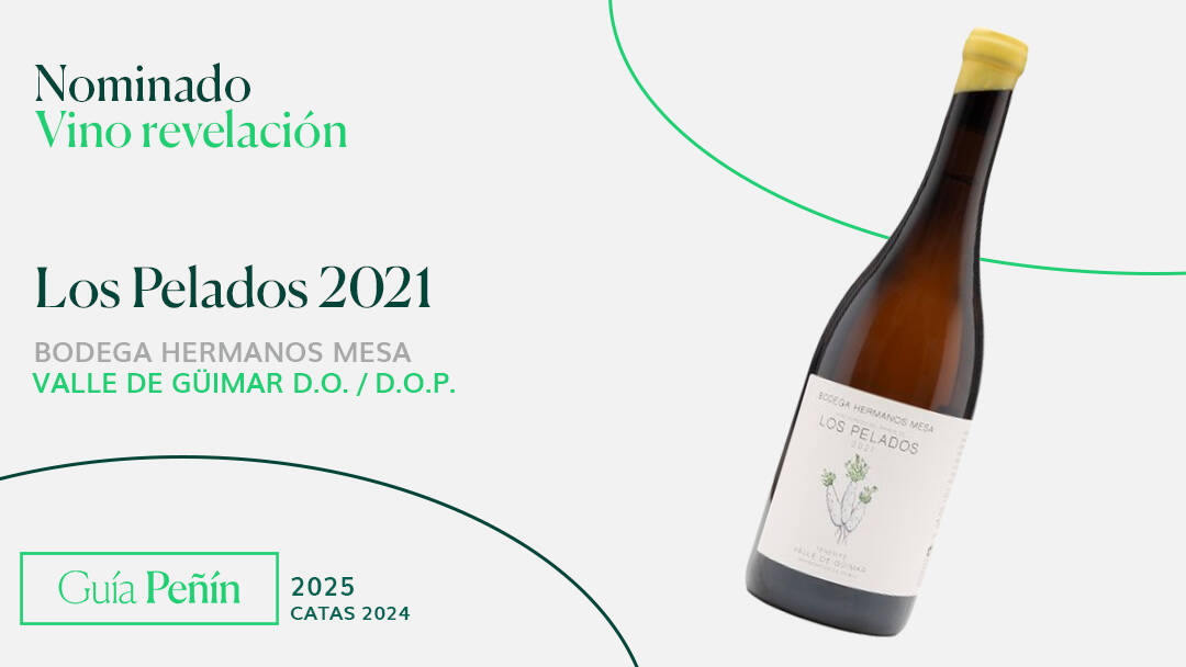 Header - Diseño del nominado a vino revelación