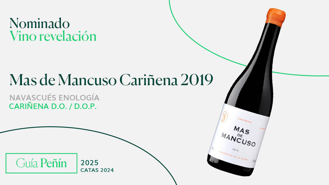 Vino revelacion Mas de Mancuso Carinena 2019