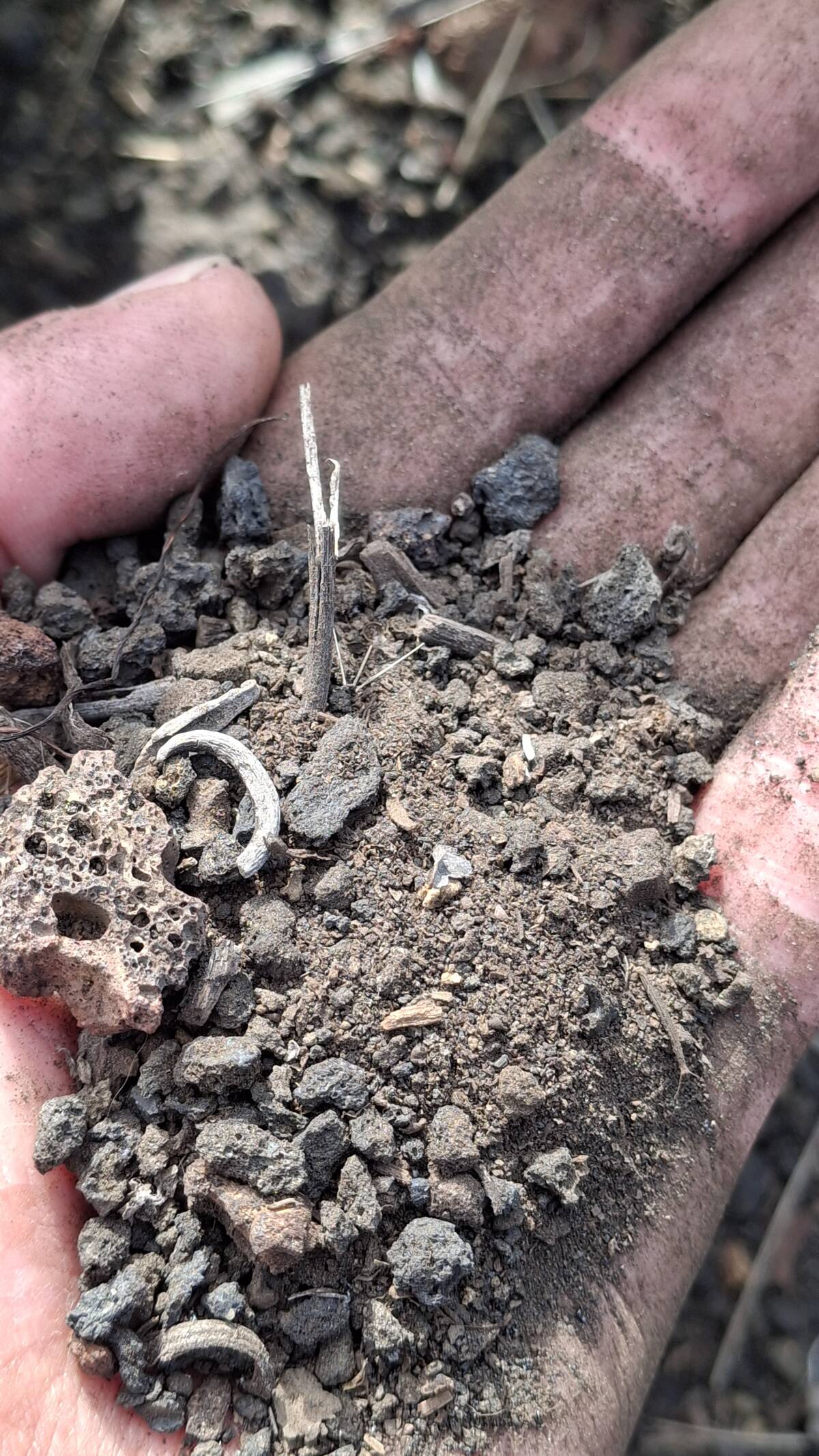 Suelo de los viñedos.