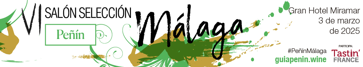 VI Sal&oacute;n Selecci&oacute;n M&aacute;laga.