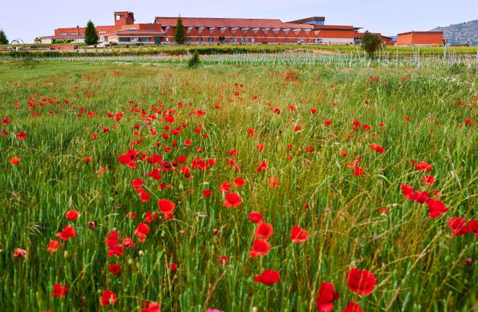 Imagen de la bodega Enate desde el exterior.