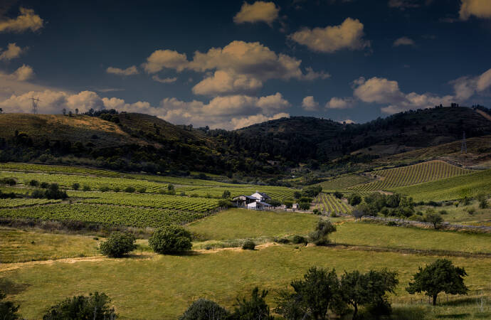 Image of the fields of León.
