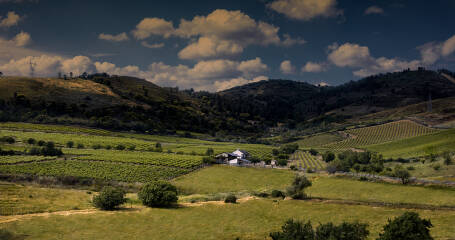 Bild der Felder von León.