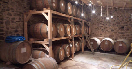 Bild von Fässern im Inneren der Weinkellerei Vinos LOF.