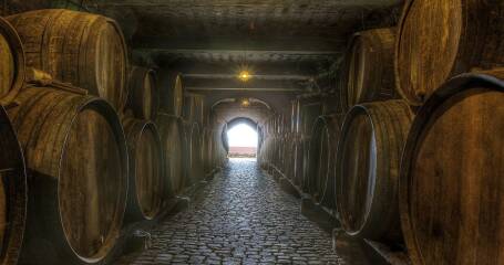 Imagen de barriles del interior de Bodegas Monje.