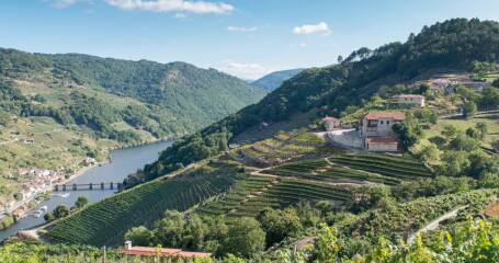 Imagen panorámica del exterior de Vía Romana Adegas y Viñedos.