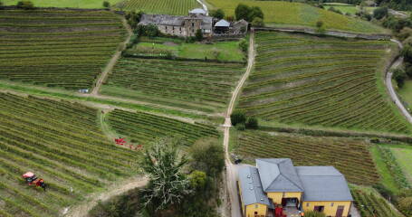 Imagen cenital de los viñedos de Siluvio.