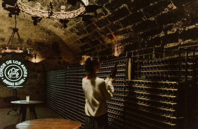 Image of the interior of Bodegas Ollauri