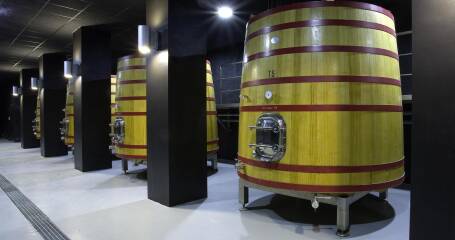 Image der Bodegas Pericas Fässer