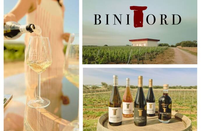 Imagen de botellas y logo de la bodega Binitord.