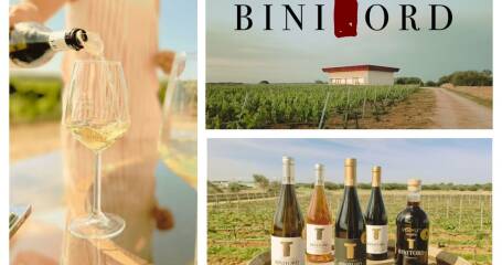 Image of bottles and Binitord winery logo.