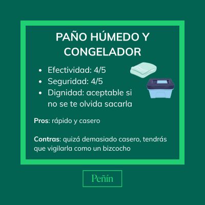 Envuelve la botella en un pa&ntilde;o de cocina mojada y m&eacute;tela al congelador. El agua del pa&ntilde;o acelera el enfriamiento.