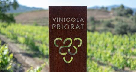 Abbildung von Weinbergen und Logo der Vinícola del Priorat.
