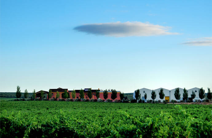 Imagen del exterior y los viñedos de Bodegas Málaga Virgen.