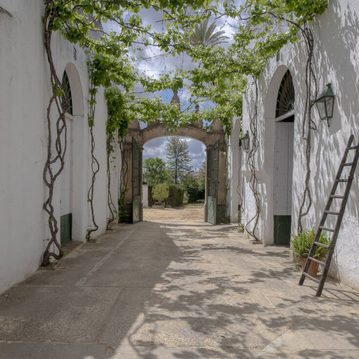 Imagen del patio interior de la bodega G&oacute;ngora.