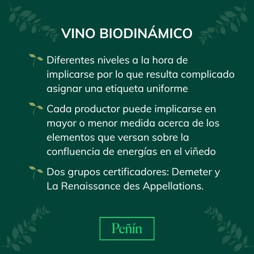Principales caracter&iacute;sticas de los vinos biodin&aacute;micos.