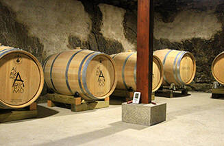 Imagen de barriles de la bodega Al Pie del Abismo.