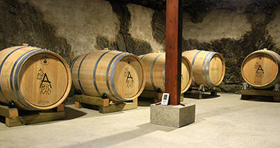 Imagen de barriles de la bodega Al Pie del Abismo.