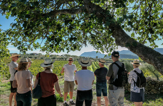 Imagen de una visita guiada por los viñedos de Bell Cros.