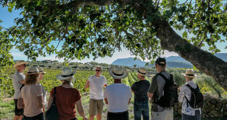 Image of a guided tour of the Bell Cros vineyards.