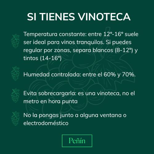 Todo lo que tienes que hacer para sacarle el mayor partido a tu vinoteca.