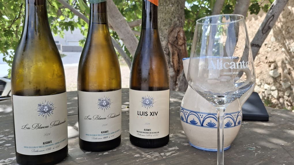 Vinos de Toneles Centenarios.