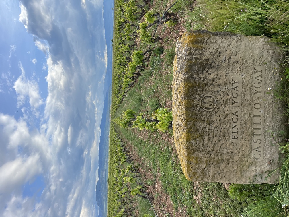 Finca Ygay.