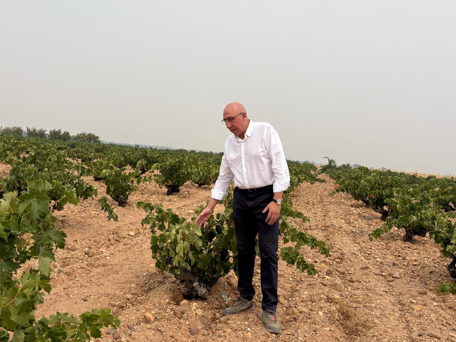 Marcos Eguren en el viñedo de la bodega.