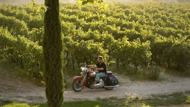 Película "Un buen año" dirigida por Ridley Scott.