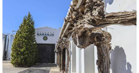 Bild vom Eingang des Weinkellers.