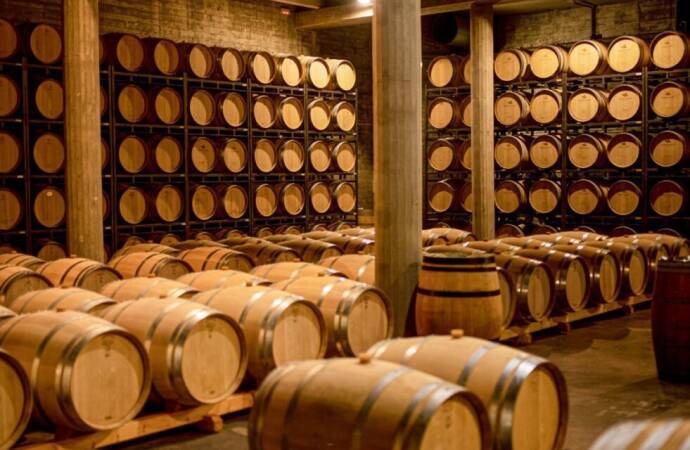 Bild von Fässern im Inneren des Weinkellers.
