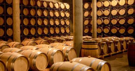 Imagen de barricas del interior de la bodega.