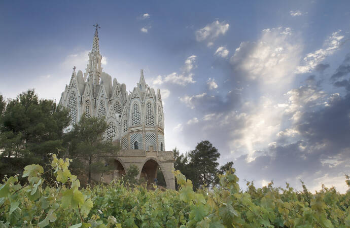 Bild der Weinberge mit einer Kirche im Hintergrund.
