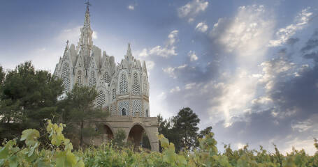 Bild der Weinberge mit einer Kirche im Hintergrund.