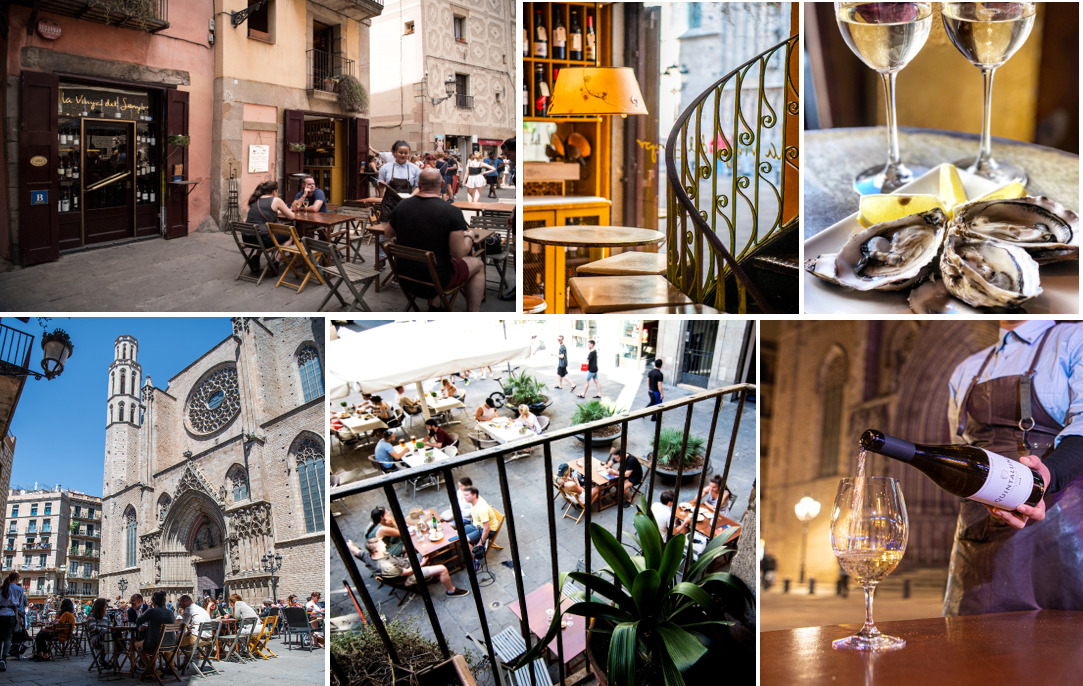 La vinya del senyor, Barcelona.