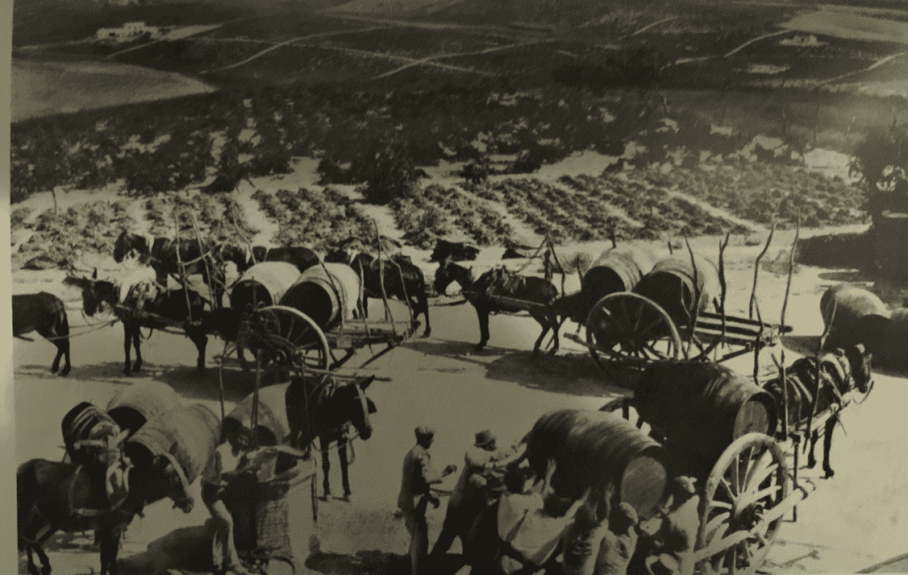 Transporte de botas de vino en carro.