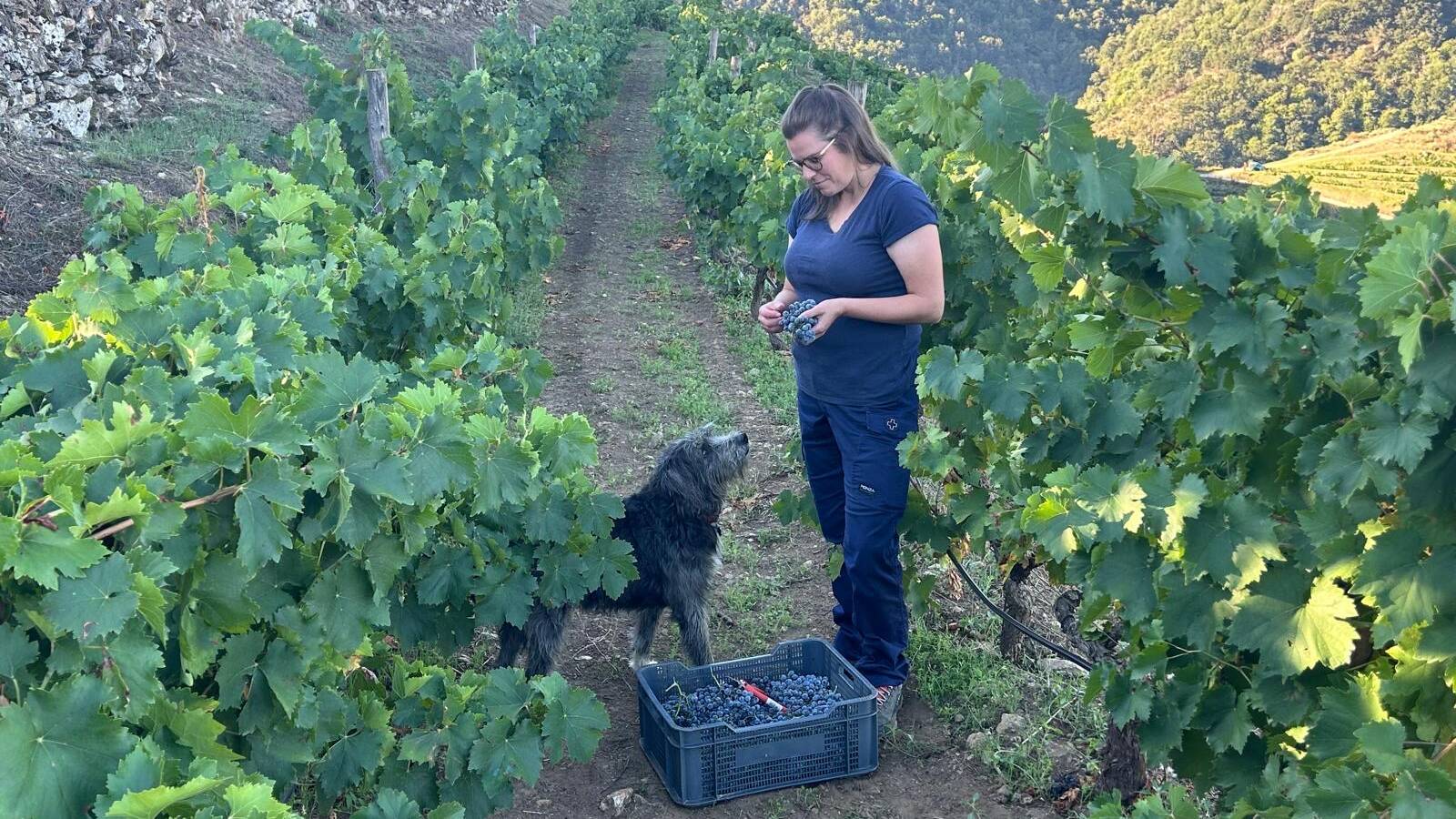 Paula F. Trabanco, en&oacute;loga de la bodega.