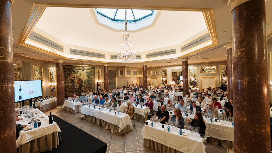 Presentaci&oacute;n Roda en el hotel Wellington.