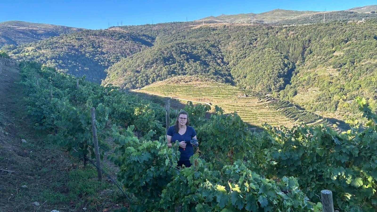 Paula F. Trabanco, en&oacute;loga de la bodega.