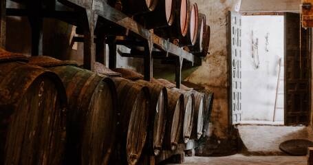 Imagen de las barricas en el interior de la bodega.